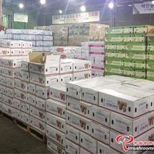 平泉市“瀑河源”榮膺全國食用菌行業優秀品牌，樹立產業新標桿